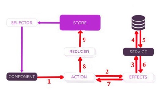 NGRX Structure